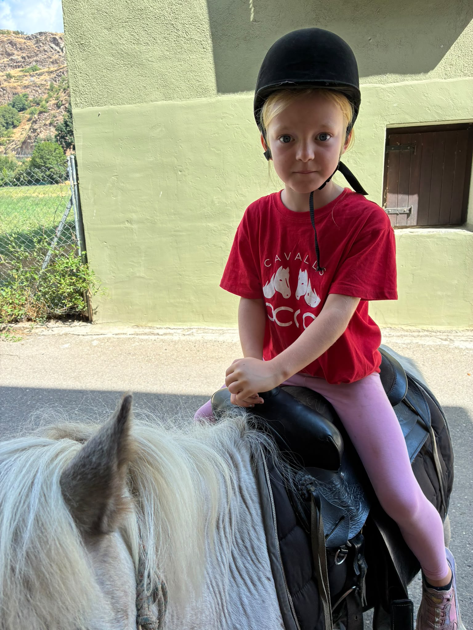 yo yo